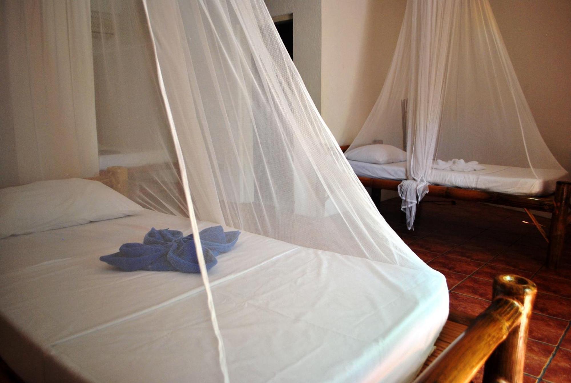 The Blue Orchid Resort Moalboal Zimmer foto