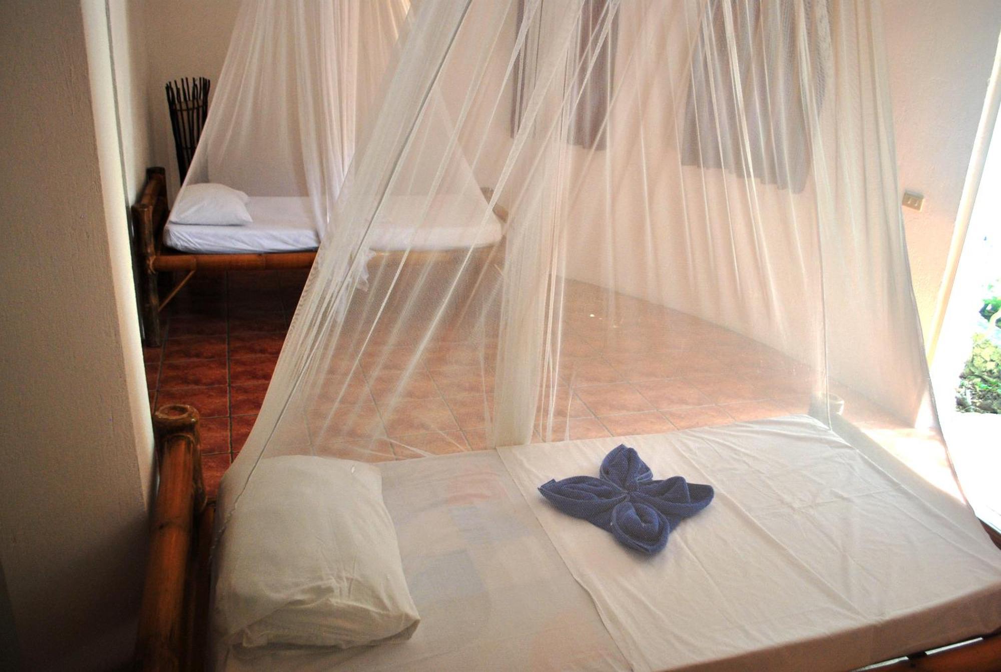 The Blue Orchid Resort Moalboal Zimmer foto