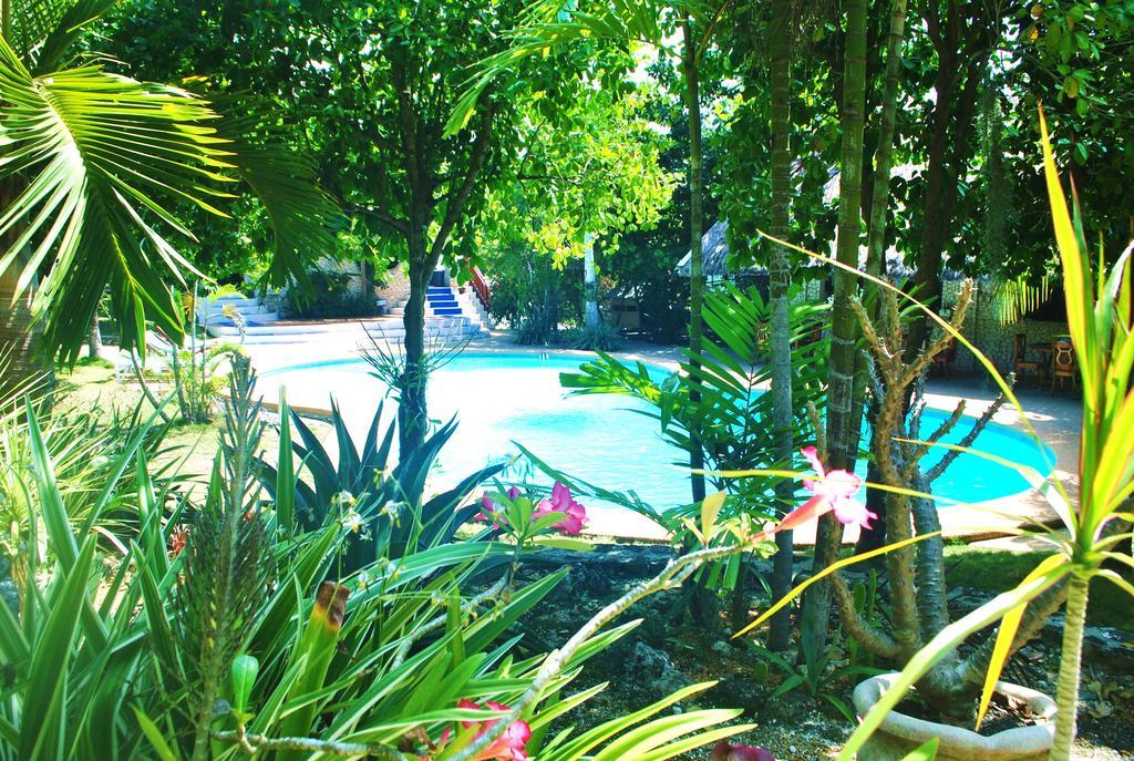 The Blue Orchid Resort Moalboal Exterior foto