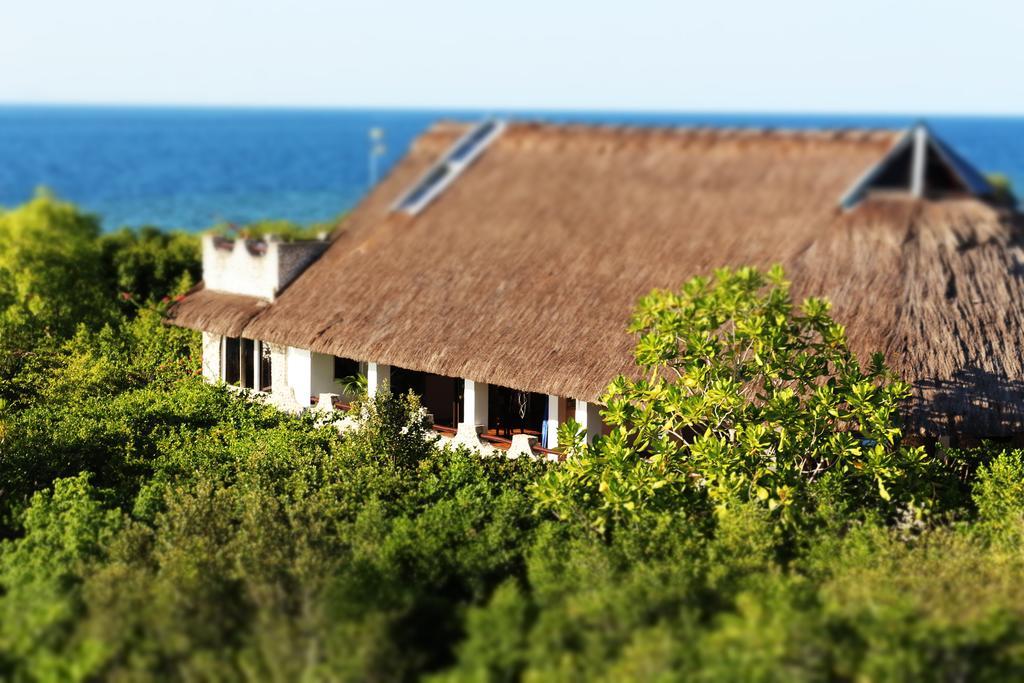 The Blue Orchid Resort Moalboal Exterior foto